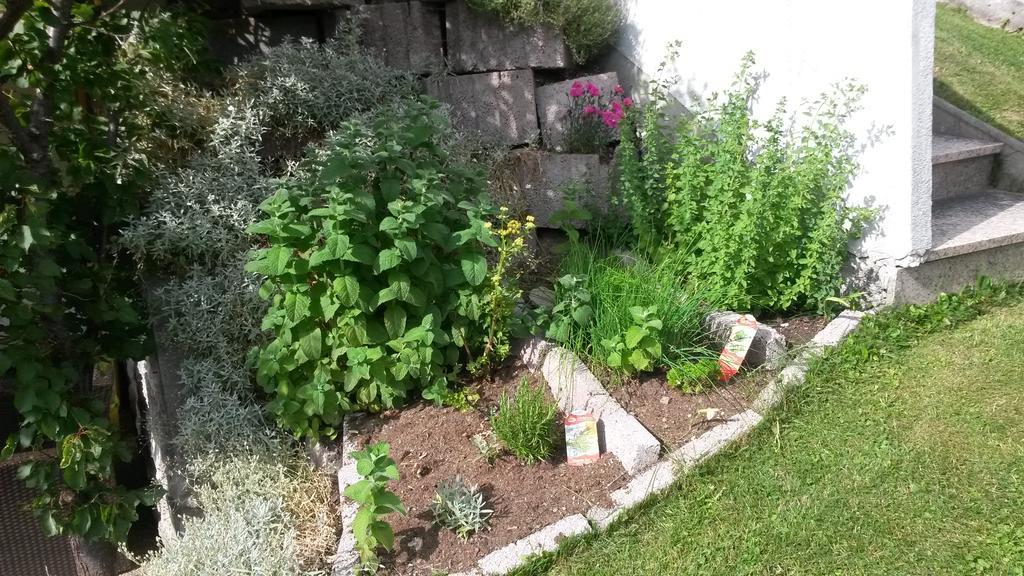 Haus Mattle Apartment Pettneu am Arlberg Bagian luar foto